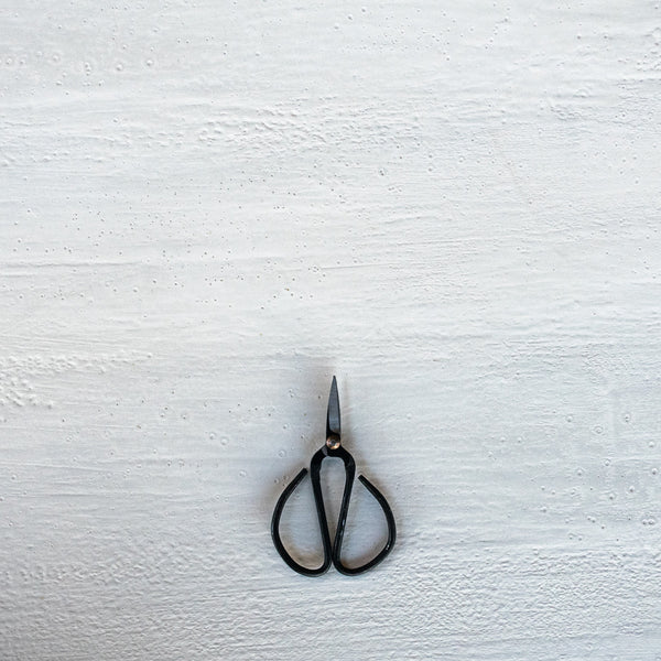 Quality stainless steel scissors from Nutscene, to use in the kitchen and garden as herb snips. Aesthetically appealing , they are very sharp and a pleasure to use.