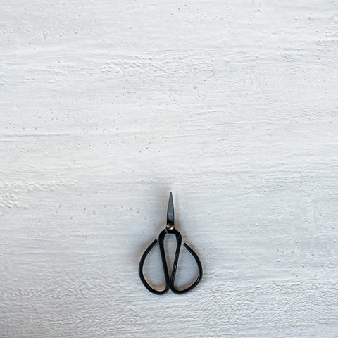 Quality stainless steel scissors from Nutscene, to use in the kitchen and garden as herb snips. Aesthetically appealing , they are very sharp and a pleasure to use.