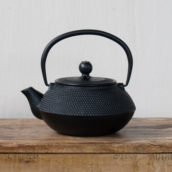 Cast iron teapot, black hobnail exterior, and enamelled interior with removable mesh infuser.
