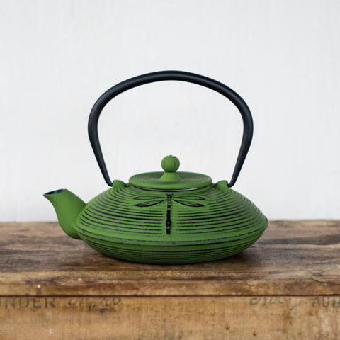 Cast iron teapot, green dragon fly exterior, and enamelled interior with removable mesh infuser.