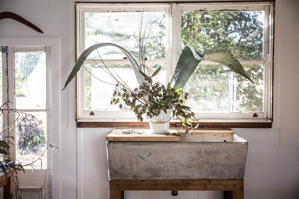 Perfect for collecting vegetable and fruit scraps for chickens, worm farms, or compost. An enamel bucket is attractive on the kitchen bench, and easy to wash. Also, a great bucket for cleaning and collecting ash from the fireplace and transferring it onto the garden. 