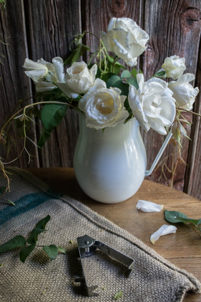 Enjoy the elegance of this two litre Falcon enamel jug. Imagine it filled with ginger cordial, iced water and mint one day and Pimms with friends the next.