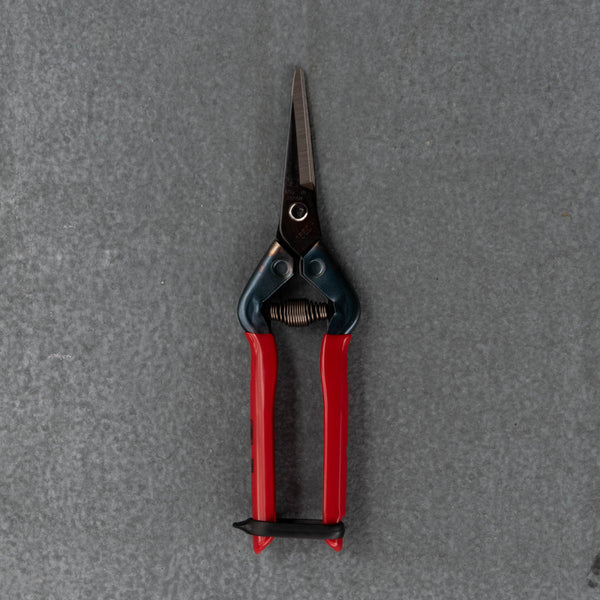 Fruit and Flower Snips for picking fruits, vegetables, and flowers. Japanese made high-quality carbon steel 5.5cm pointed blade.
