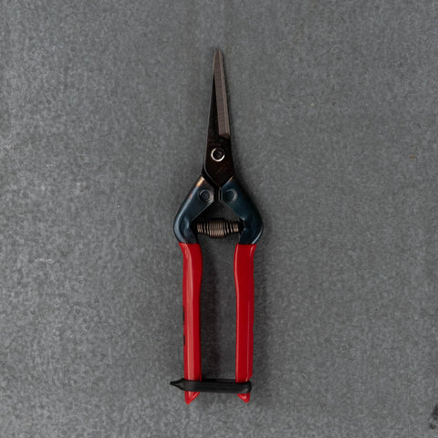 Fruit and Flower Snips for picking fruits, vegetables, and flowers. Japanese made high-quality carbon steel 5.5cm pointed blade.