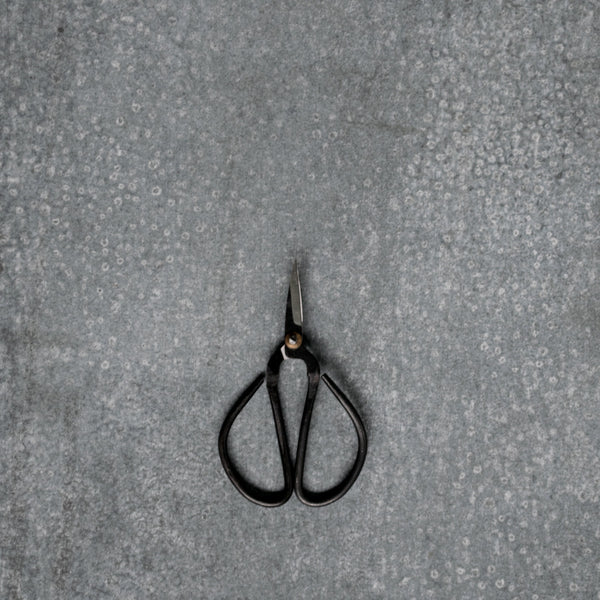 Quality stainless steel scissors from Nutscene, to use in the kitchen and garden as herb snips. Aesthetically appealing , they are very sharp and a pleasure to use.