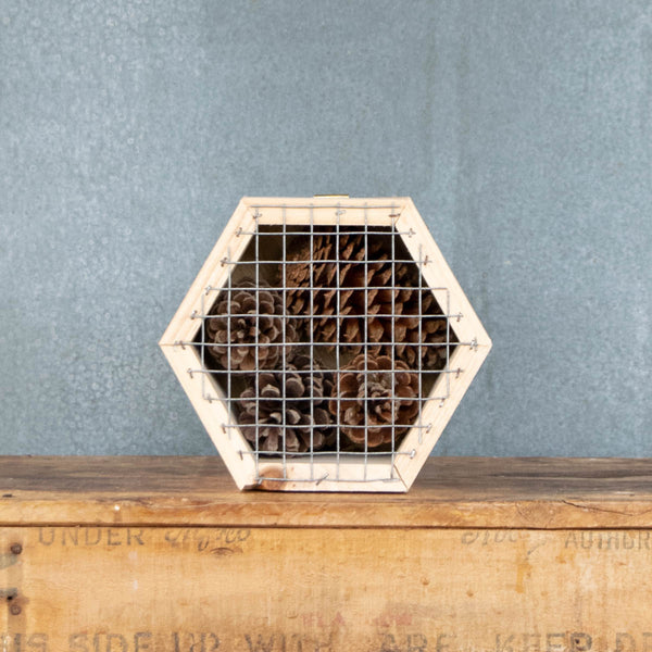 Insect Hotel, Hexagon, Pine Cones