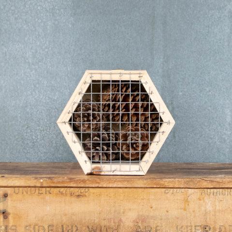 Insect Hotel, Hexagon, Pine Cones