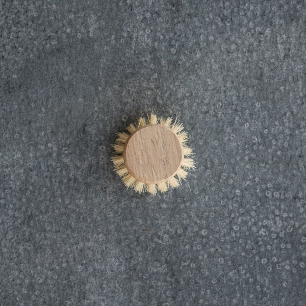A timber and natural bristle replacement head for the natural bristle dish brush. 