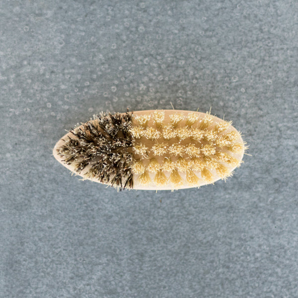 Odgers and McClelland Exchange Stores logo printed on this German made vegetable brush, with natural bristle and timber head. There are two textured fibres for loose or hard-to-remove dirt. Scrub soil from root vegetables freshly picked from your garden or your local market. 