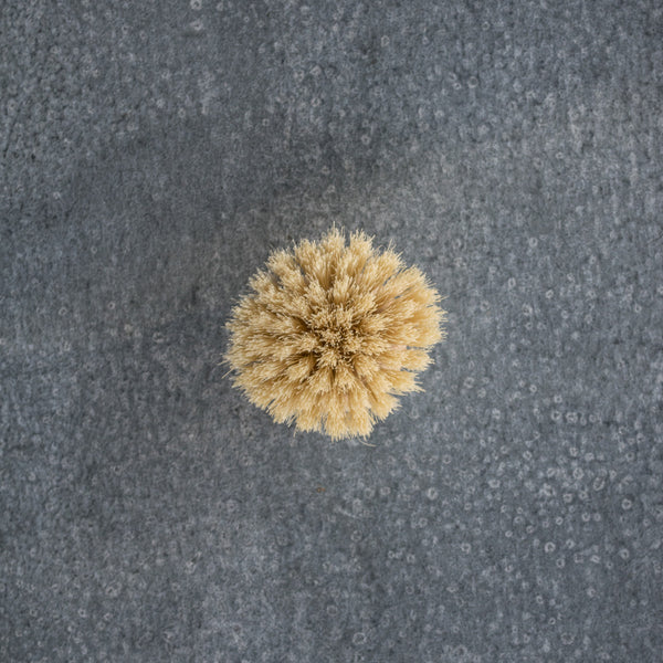 Dish brush replacement head for Redecker natural bristle dish brush, or use as a stand alone hand held brush. 