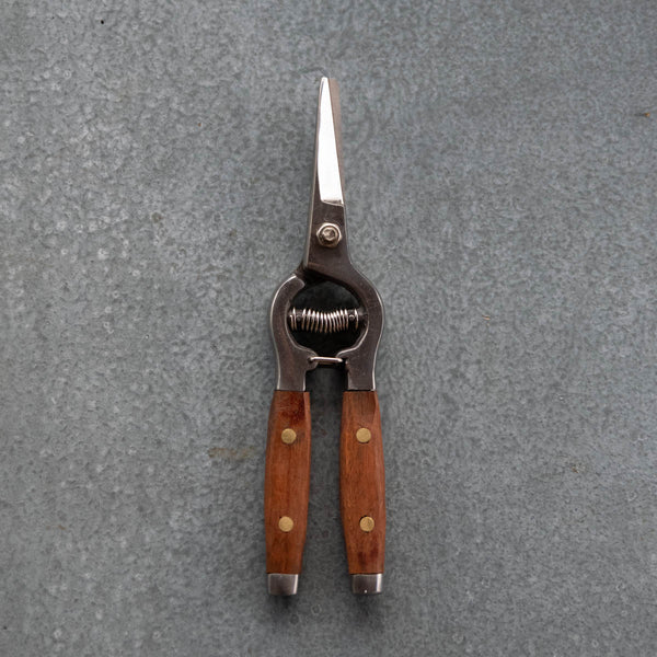 Flower Snips with red wood handles featuring brass pins, and stainless steel double blade. The hand worked timber handles feel comfortable in the palm and the pointed blades allow targeted cutting for florists and flower arranging.