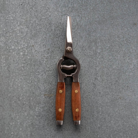 Flower Snips with red wood handles featuring brass pins, and stainless steel double blade. The hand worked timber handles feel comfortable in the palm and the pointed blades allow targeted cutting for florists and flower arranging.