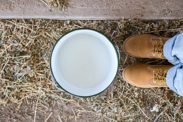 Perfect for collecting vegetable and fruit scraps for chickens, worm farms, or compost. An enamel bucket is attractive on the kitchen bench, and easy to wash. Also, a great bucket for cleaning and collecting ash from the fireplace and transferring it onto the garden. 