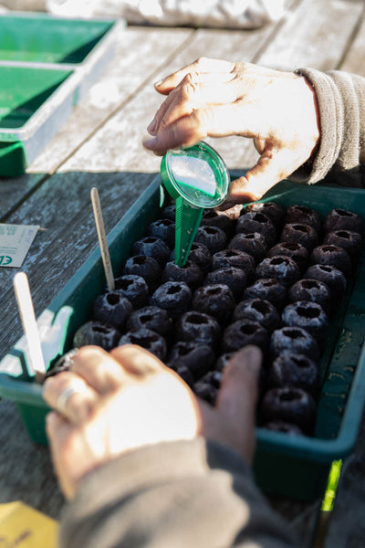 Use the Seed Sower for targeted sowing of small seeds. Adjustable aperture for different sized seeds. Simple and easy to use mini seeder. 