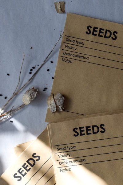 Discover the ease of collecting locally adapted seeds to replant in your garden with these specially designed seed collecting envelopes. 