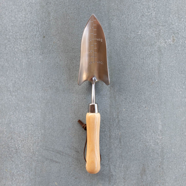 A hand transplanter, made from ash timber and heat treated stainless steel, with metric and imperial depth markers on the face of the narrow dish to assist with planting.