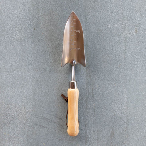 A hand transplanter, made from ash timber and heat treated stainless steel, with metric and imperial depth markers on the face of the narrow dish to assist with planting.